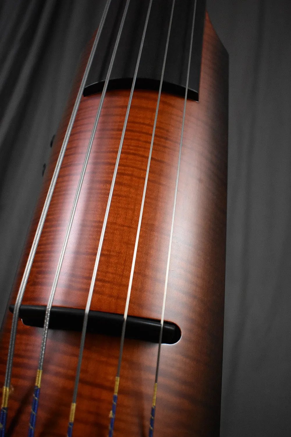 2010 NS Design NXT5a Active Bass 5-String