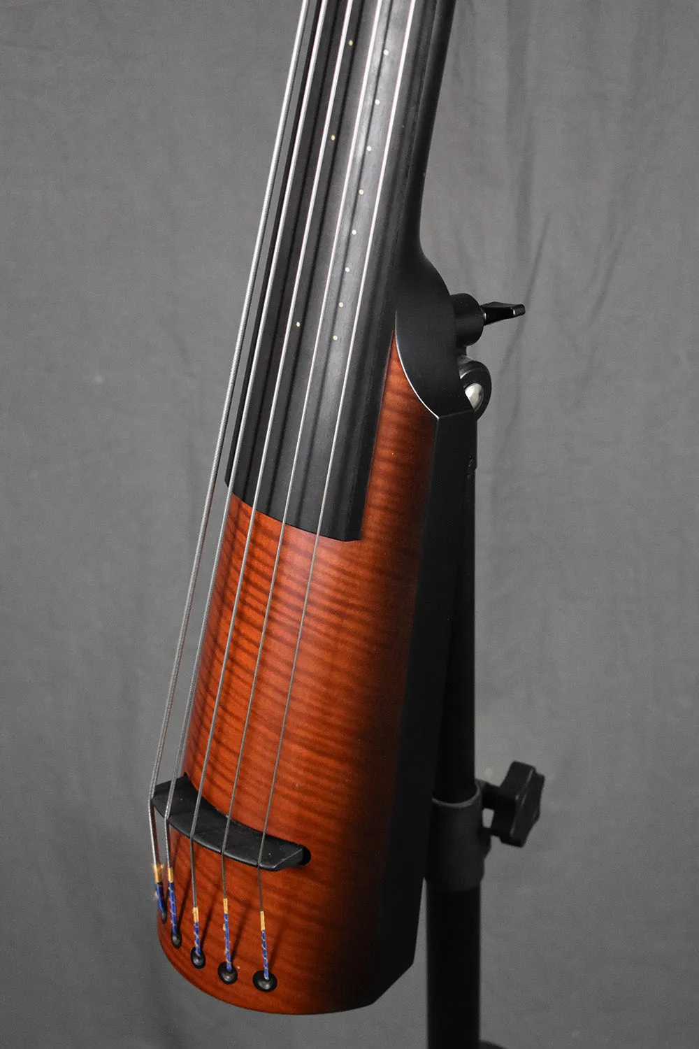 2010 NS Design NXT5a Active Bass 5-String