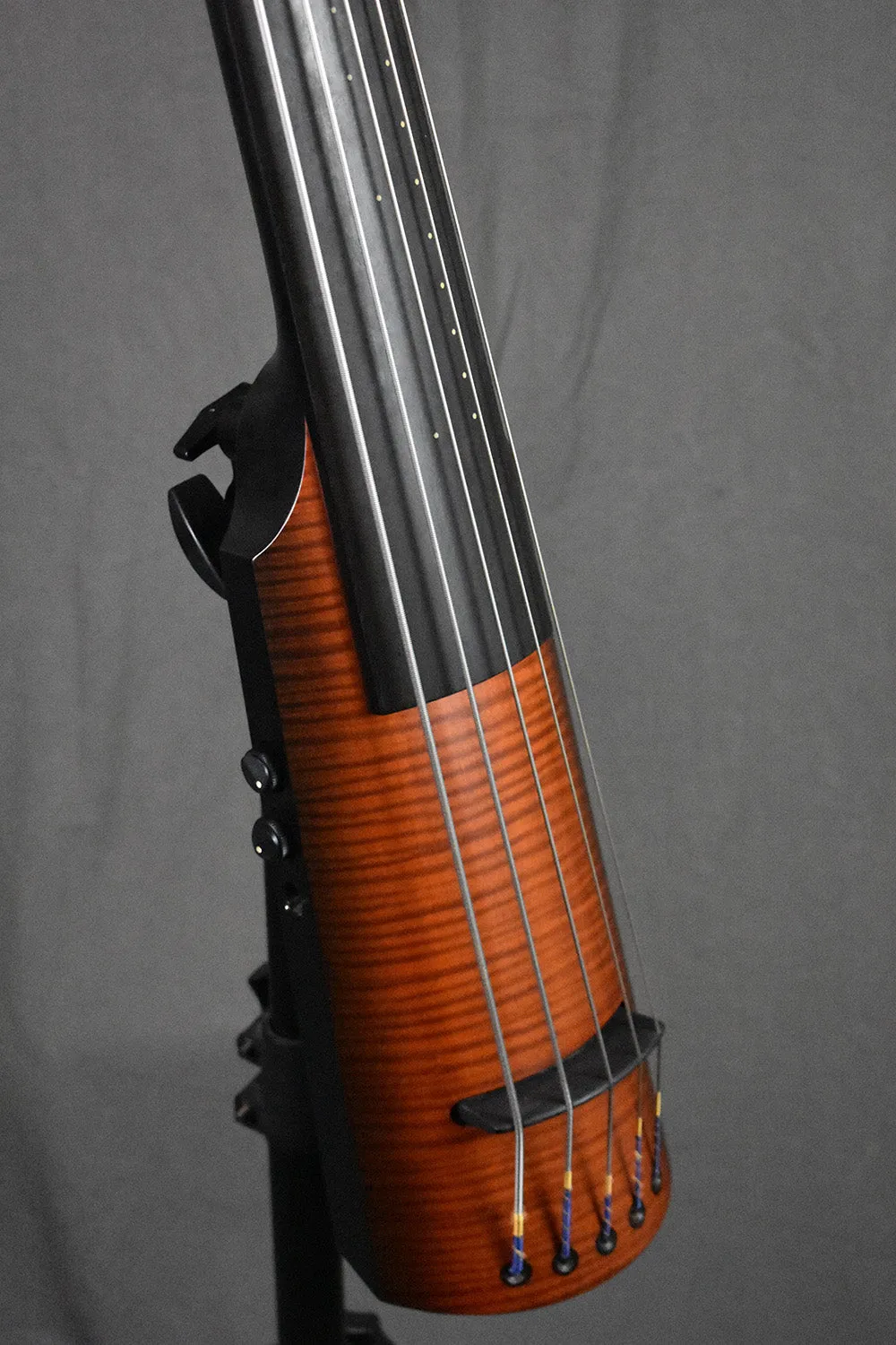 2010 NS Design NXT5a Active Bass 5-String