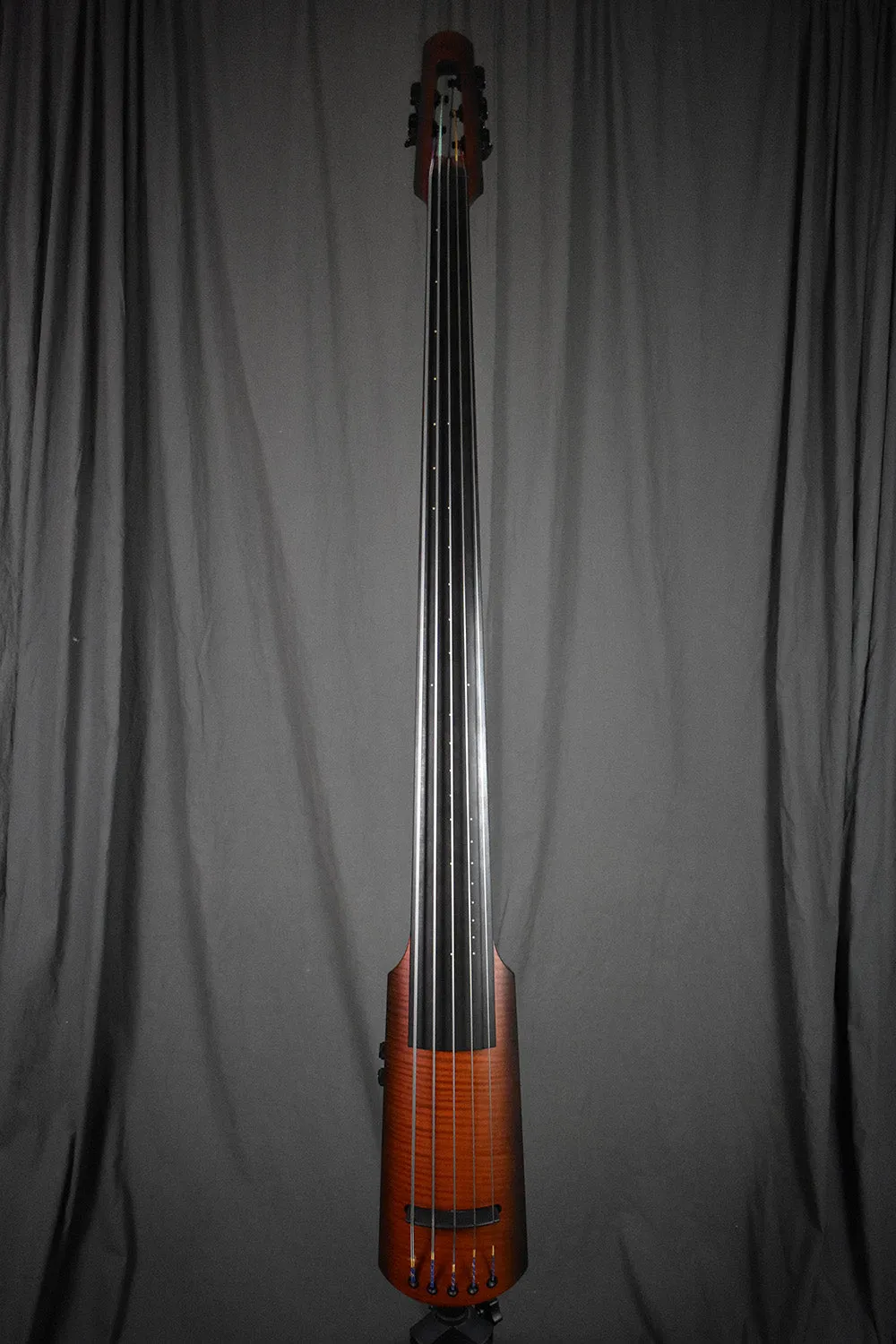 2010 NS Design NXT5a Active Bass 5-String