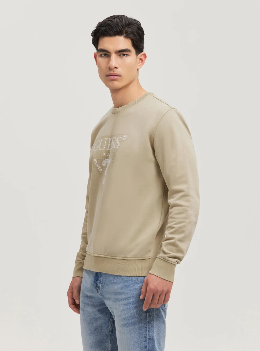 Eco Beige Triangle Logo Jumper