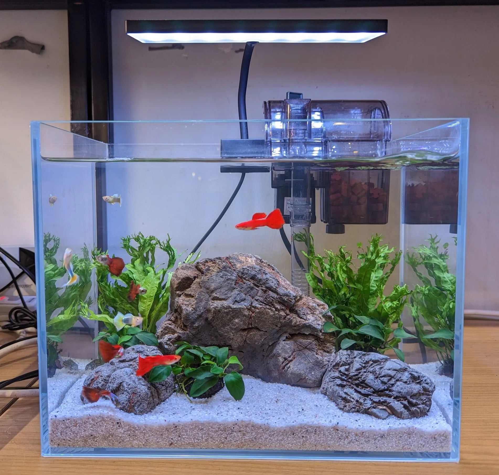 Small Aquarium Tank Package